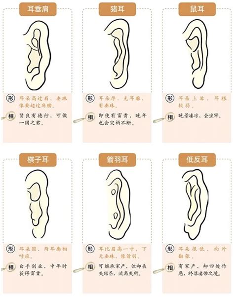 耳垂朝口|面相耳朵图解【最详细版】 – 杨易德全集官网